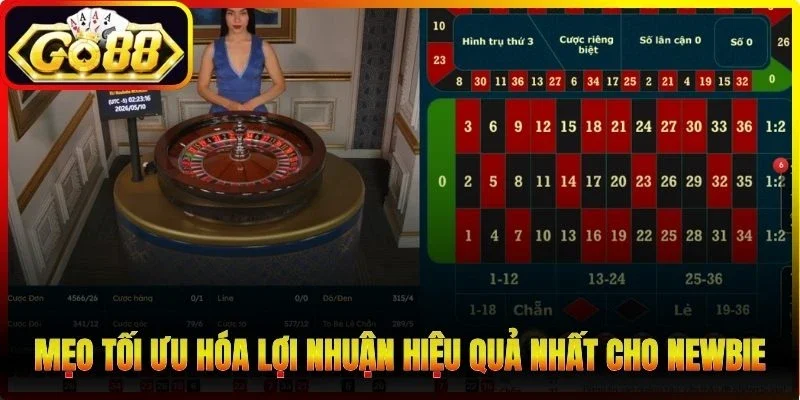 Mẹo tối ưu hóa lợi nhuận hiệu quả nhất cho Newbie