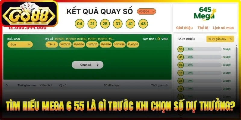 Tìm hiểu Mega 6 55 là gì trước khi chọn số dự thưởng?