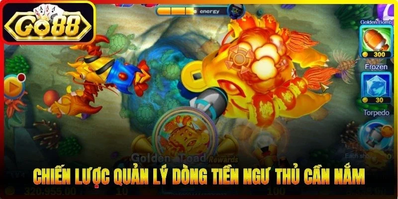 Chiến lược quản lý dòng tiền ngư thủ cần nắm
